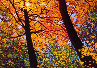 Autumn Gold, Seaton Trail 40" by 60"